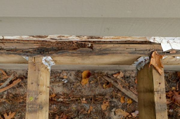 Katy Wood Rot Repair