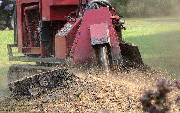Katy Tree Removal
