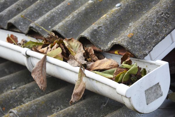 Katy Gutter Cleaning